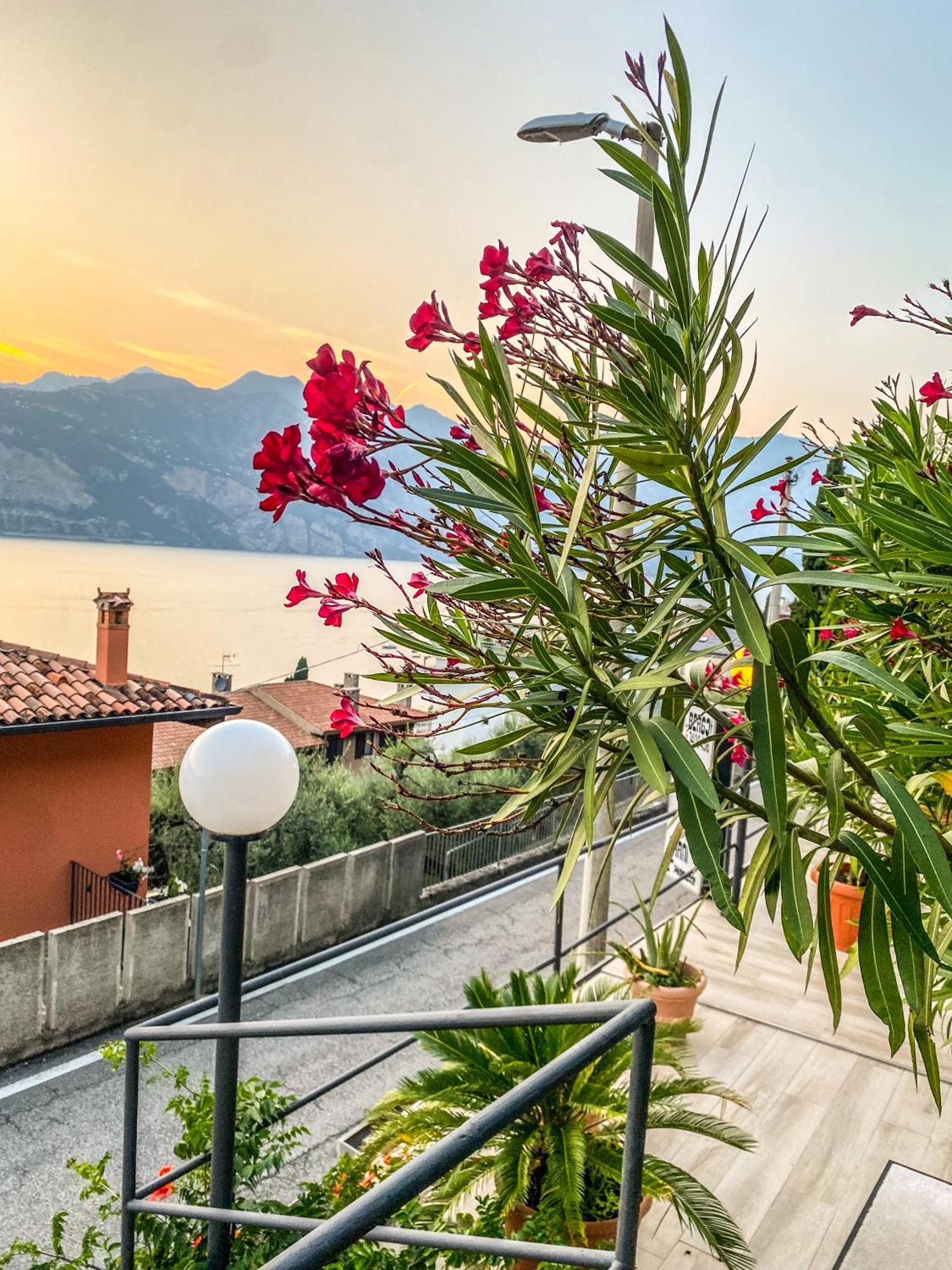 Villa Emma Malcesine Dış mekan fotoğraf